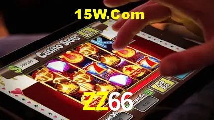 Experiência VIP ZZ66